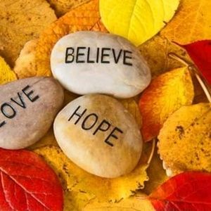 Meet your Posher, Fallan